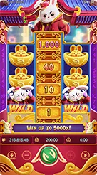 rp6789 · Fortune Rabbit